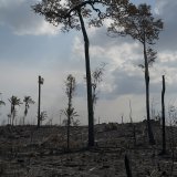 Les feux de forêt en Amazonie sont souvent boutés par les acteurs de l'agro-négoce mais ils se multiplient aussi sous l'effet de la sécheresse liée au changement climatique (archives). KEYSTONE/AP/LEO CORREA